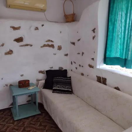 Viola 게스트하우스 3*