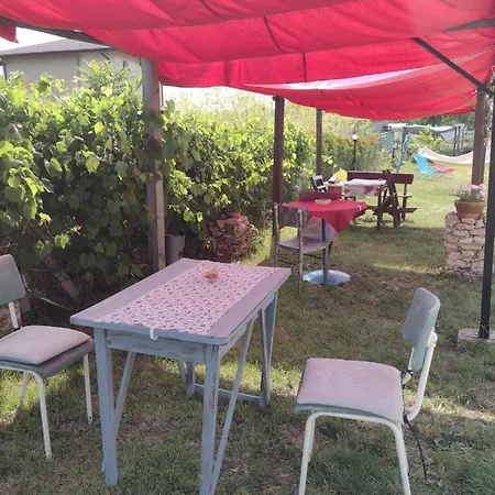 Viola 게스트하우스