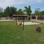 Viola 3*