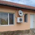 Viola 3*