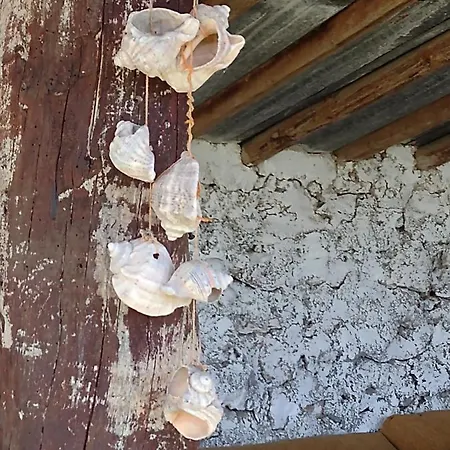 Viola بيت ضيافة