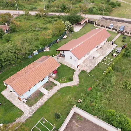 Konukevi Viola 3*