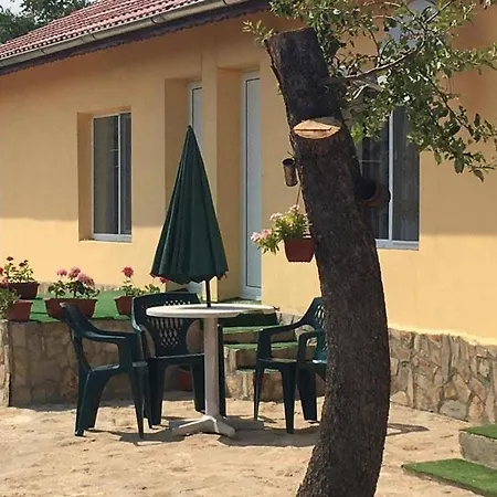 Viola بيت ضيافة Ezerets